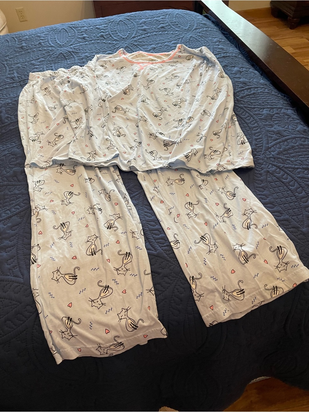 Secret Treasures Light Blue Cat-Print Pajama Set with Pink Trim